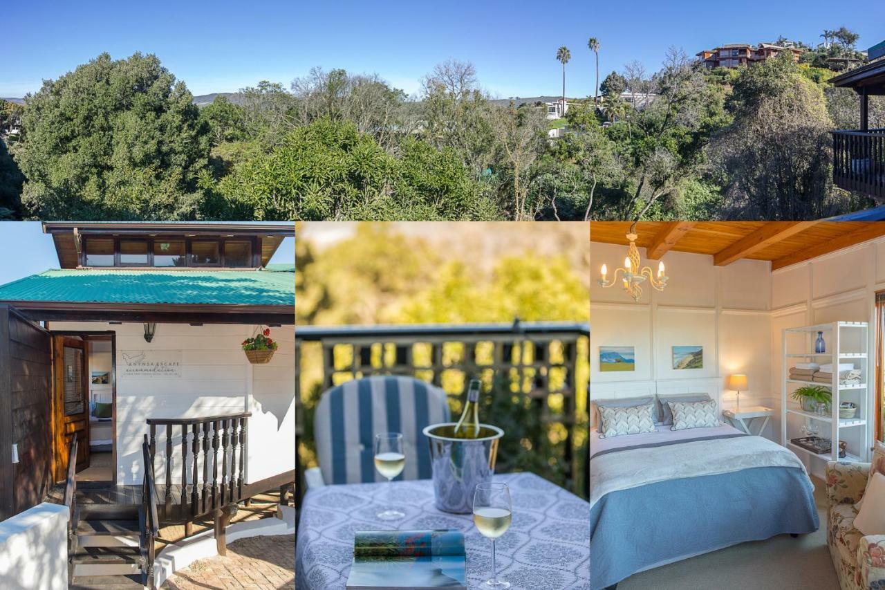 Knysna Escape Accommodation Экстерьер фото